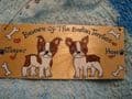 BEWARE OF THE DOG 2 character WOODEN PERSONALISED CHARACTER SIGN kennel PLAQUE HANDMADE Any breed and phrasing